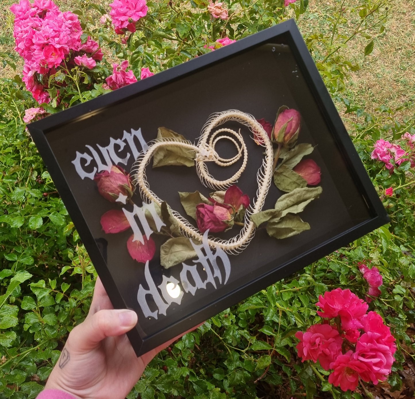 Snake Skeleton - Engraved Glass