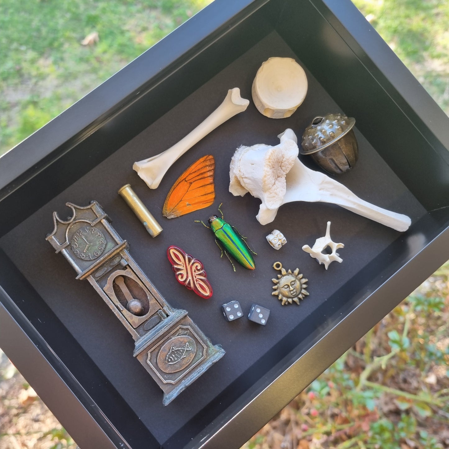 Curio Clock | Mixed Oddity Frame | Framed Entomology Décor | Real Specimen | Nature