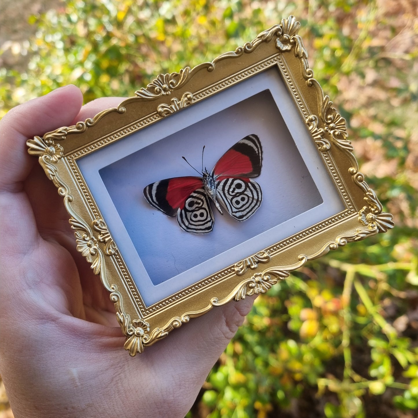 Mini Magnet Frames