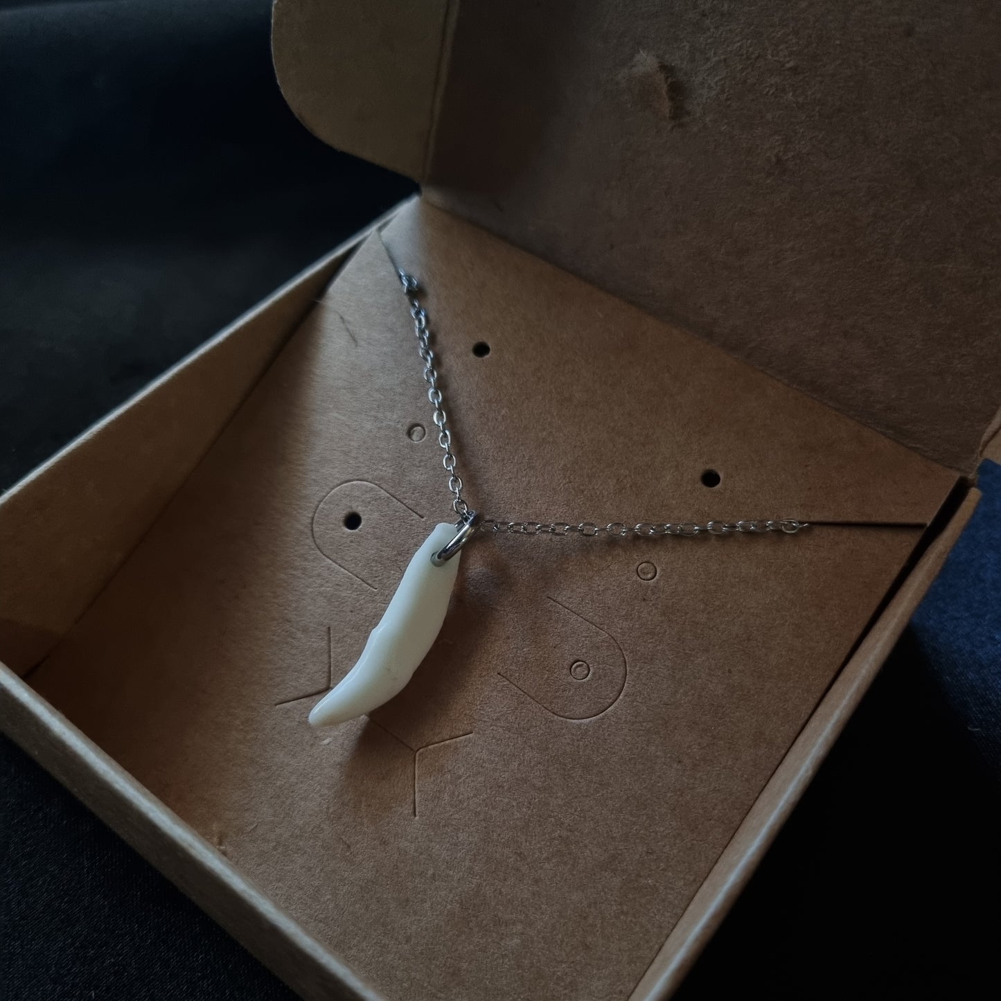 Coyote Tooth Necklace