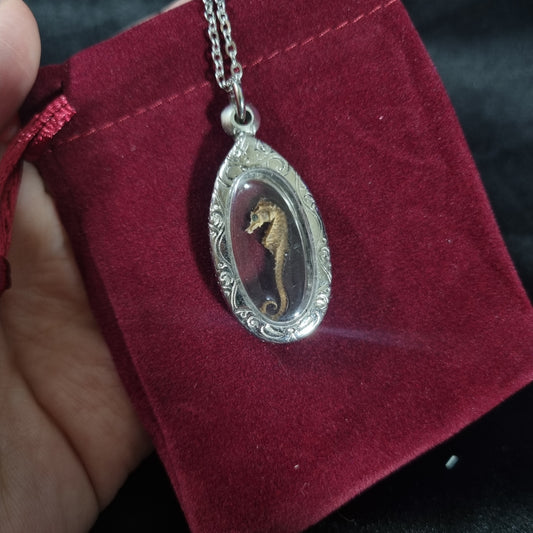 Baby Seahorse Necklace