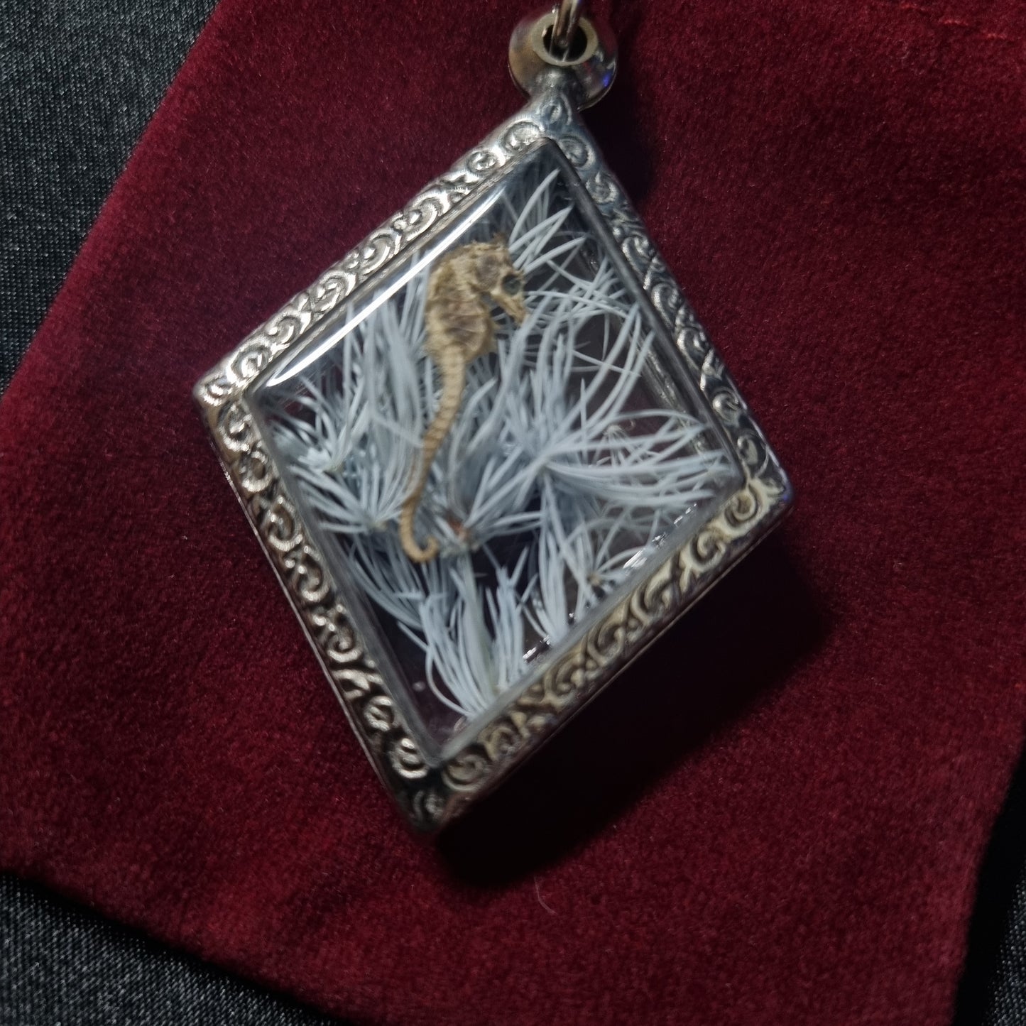 Baby Seahorse Pendant