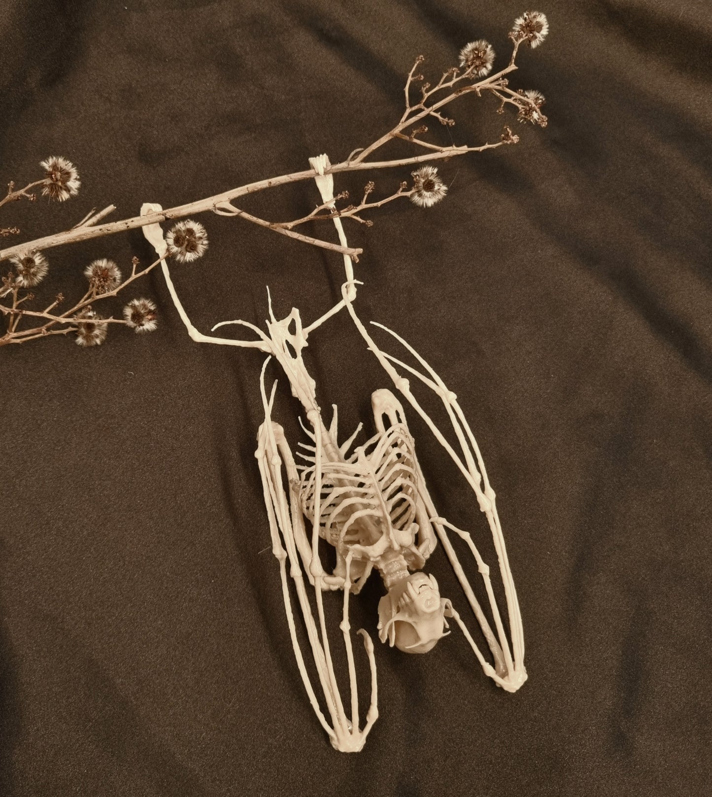 Fruit Bat Skeleton | Replica