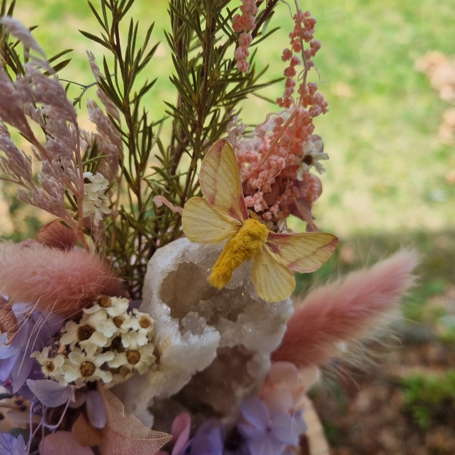 Raffle - Maple Moth