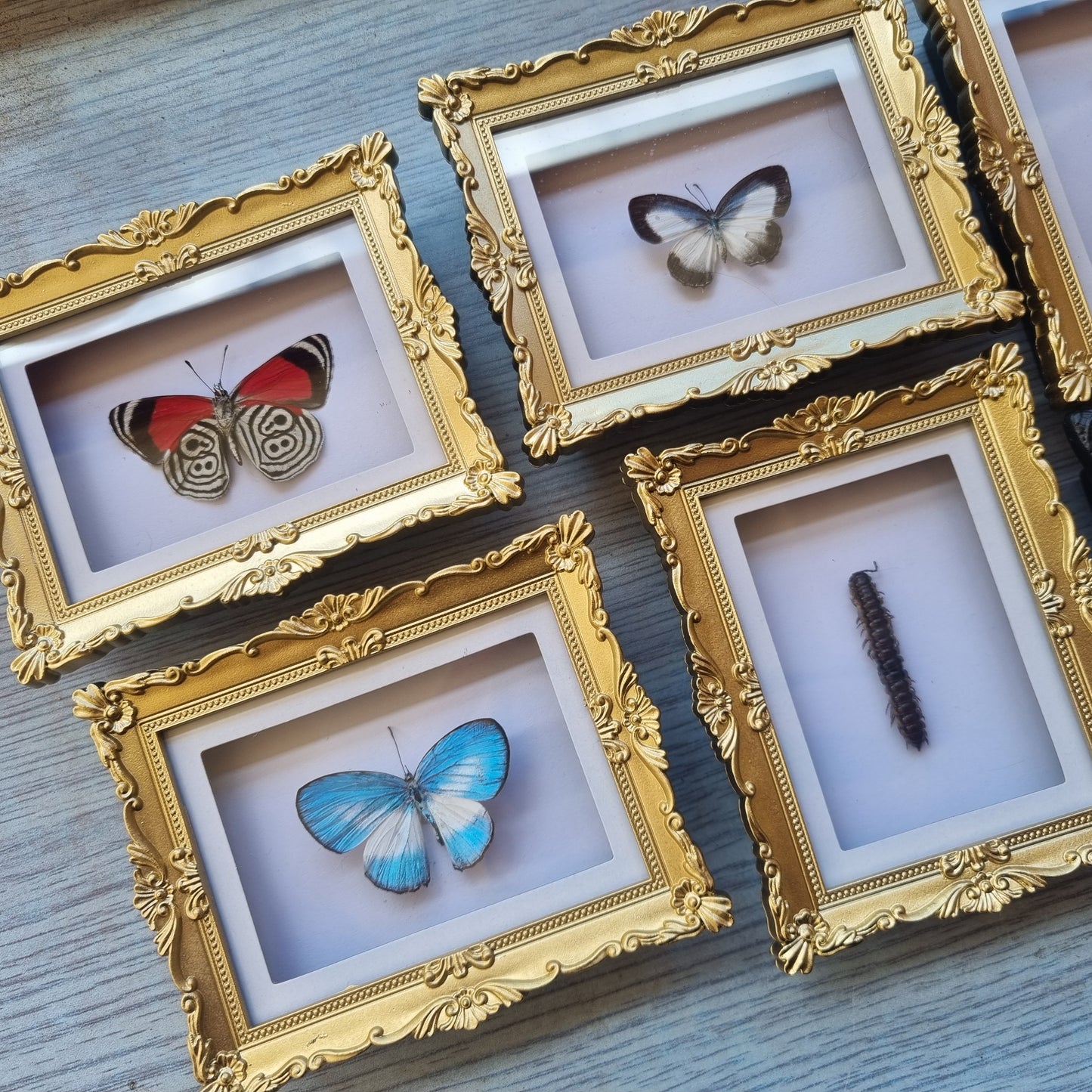 Mini Magnet Frames