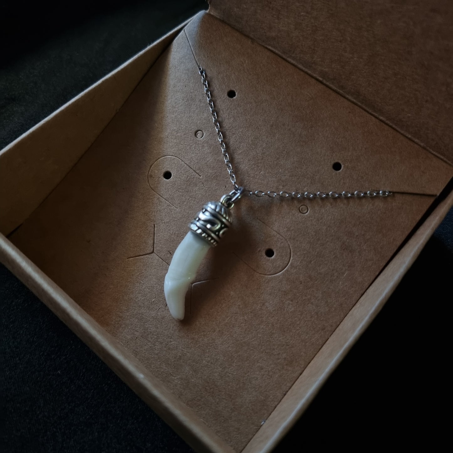 Coyote Tooth Necklace