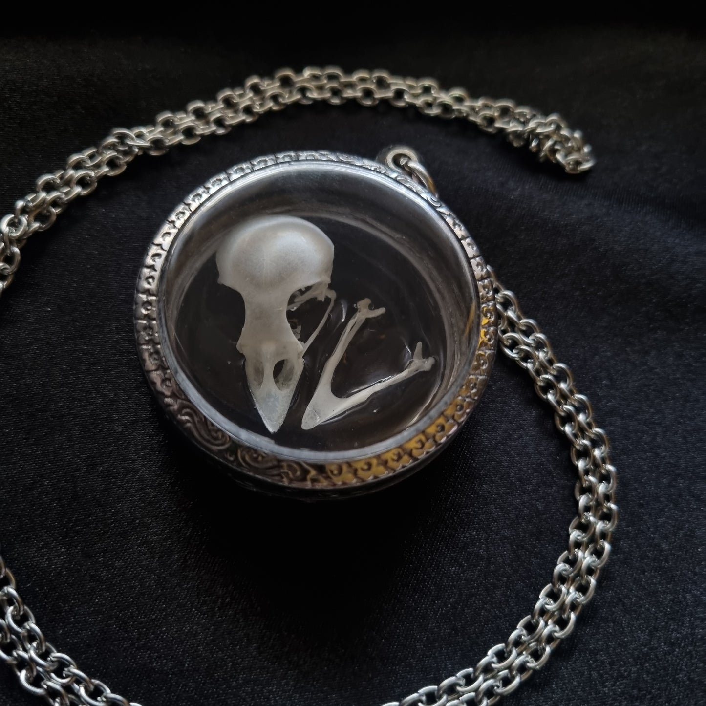 House Sparrow Skull Pendant