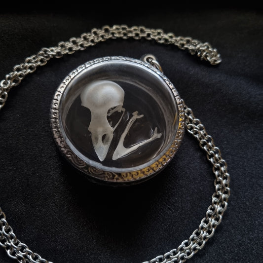 House Sparrow Skull Pendant