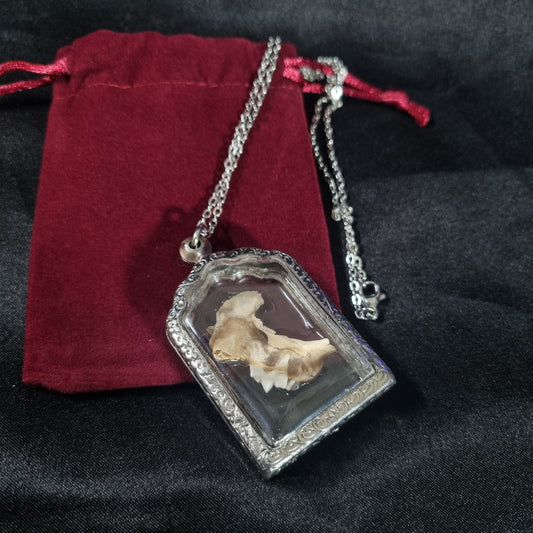 Cat Jaw & Teeth Pendant (Damaged)