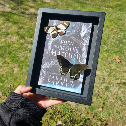 Book | When The Moon Hatched | Entomology Display | Butterflies