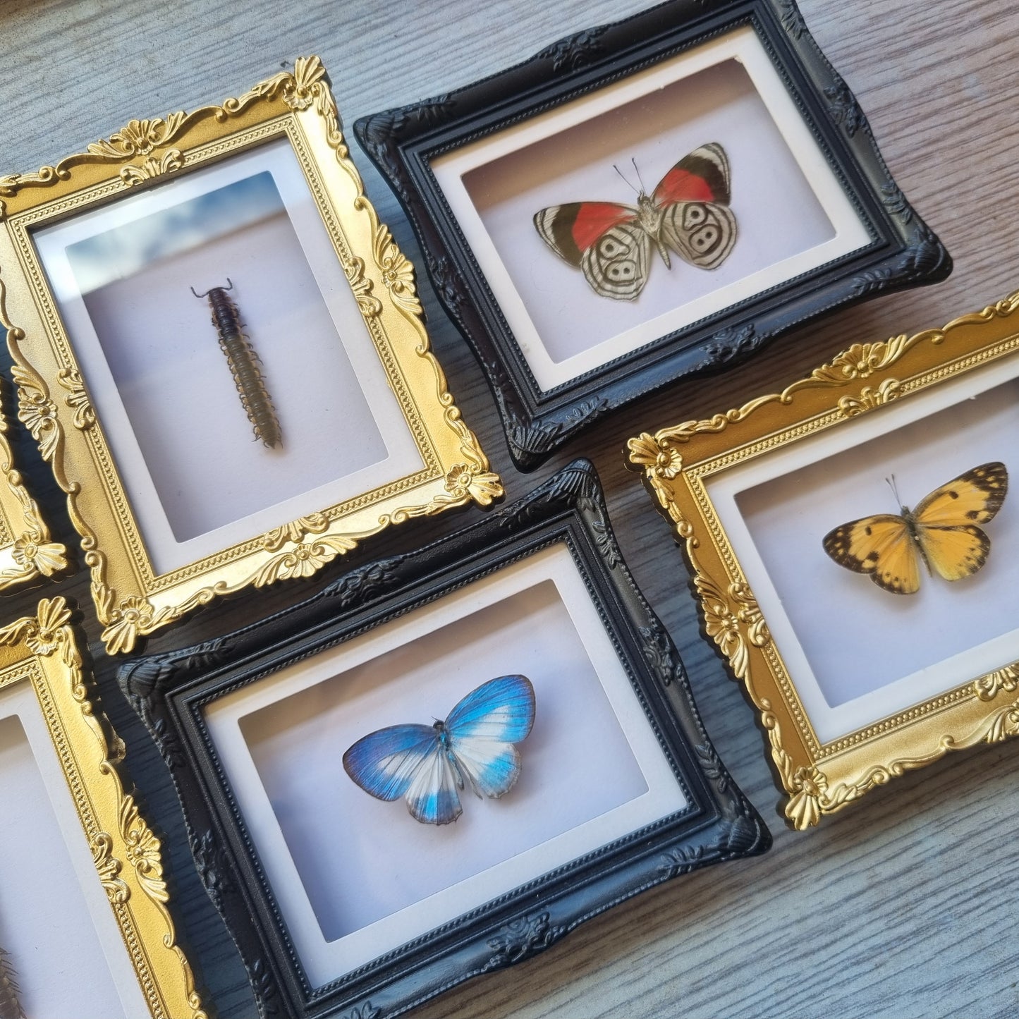 Mini Magnet Frames