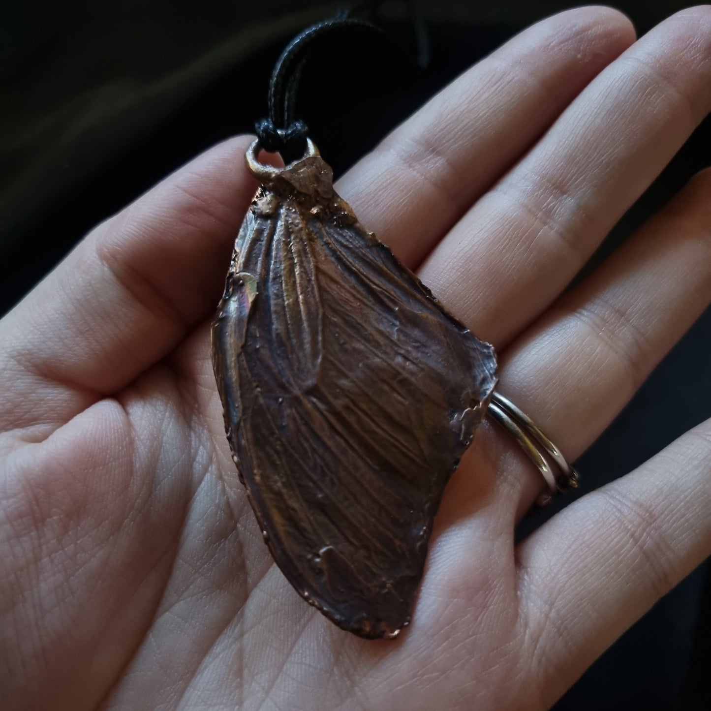 Electroplated Butterfly Wing