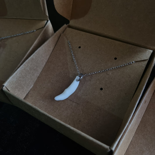 Coyote Tooth Necklace