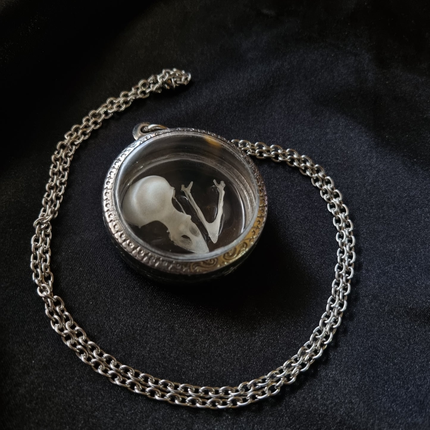 House Sparrow Skull Pendant